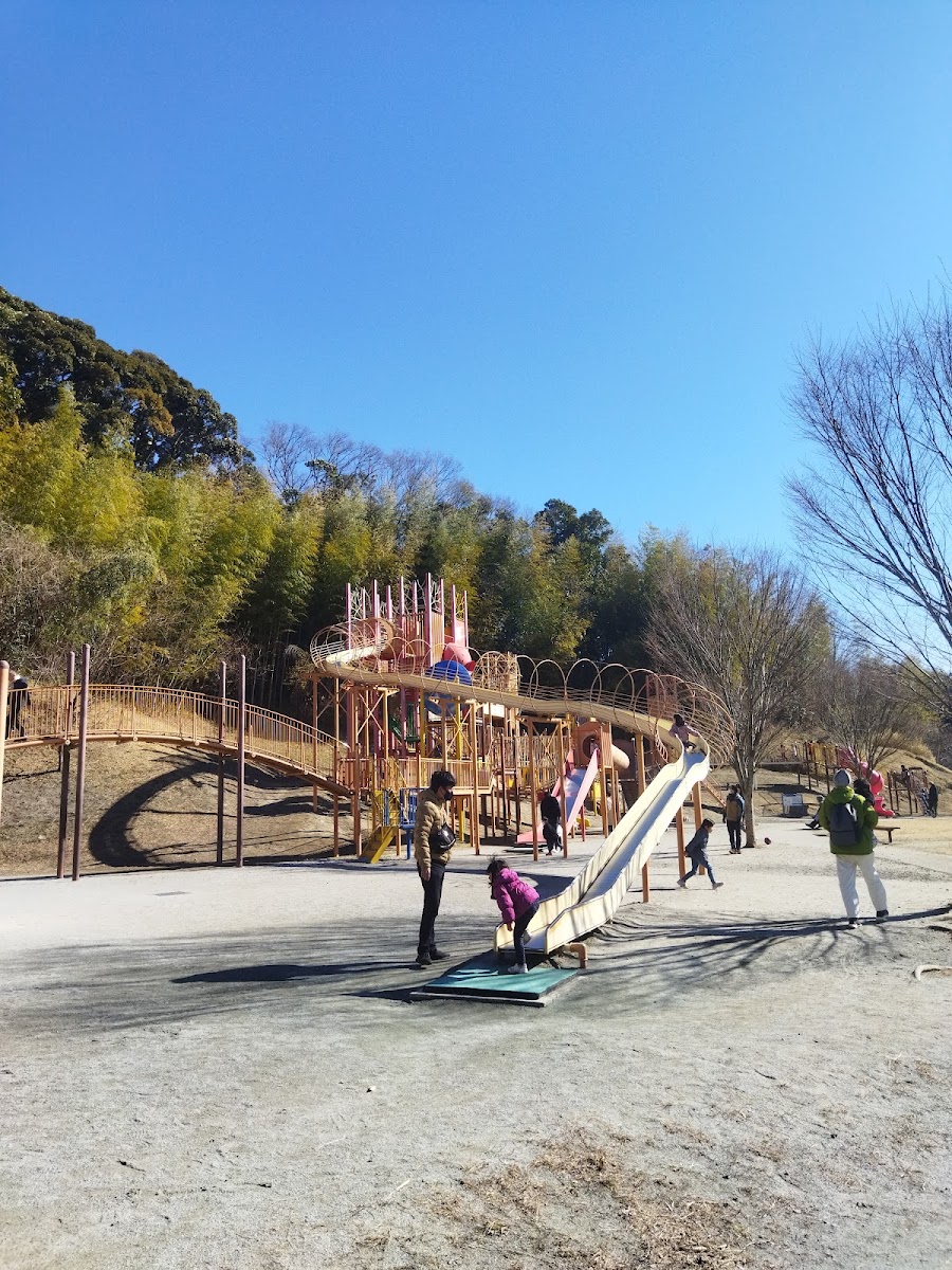 22世紀の丘公園の写真