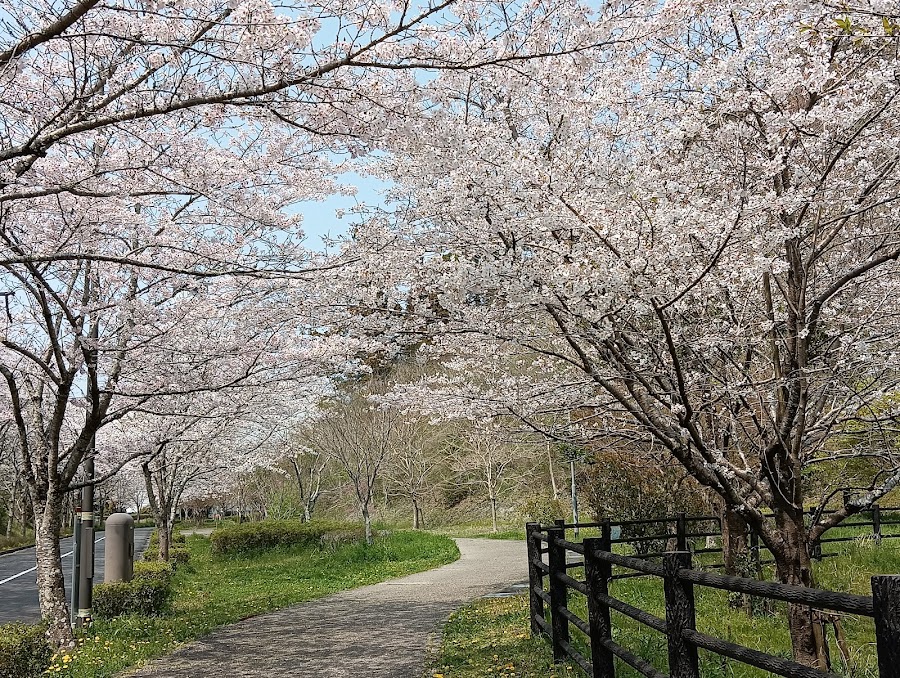 22世紀の丘公園の写真
