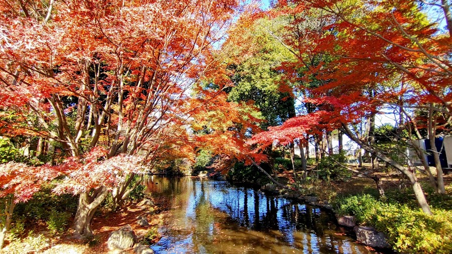 上尾丸山公園の写真