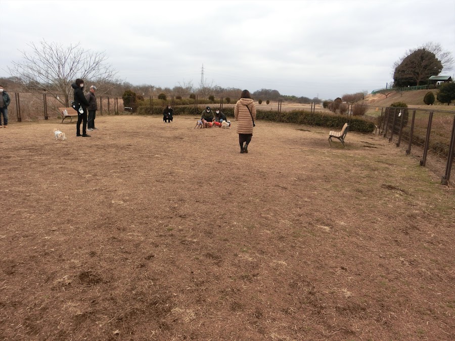 安比奈親水公園ドッグランの写真