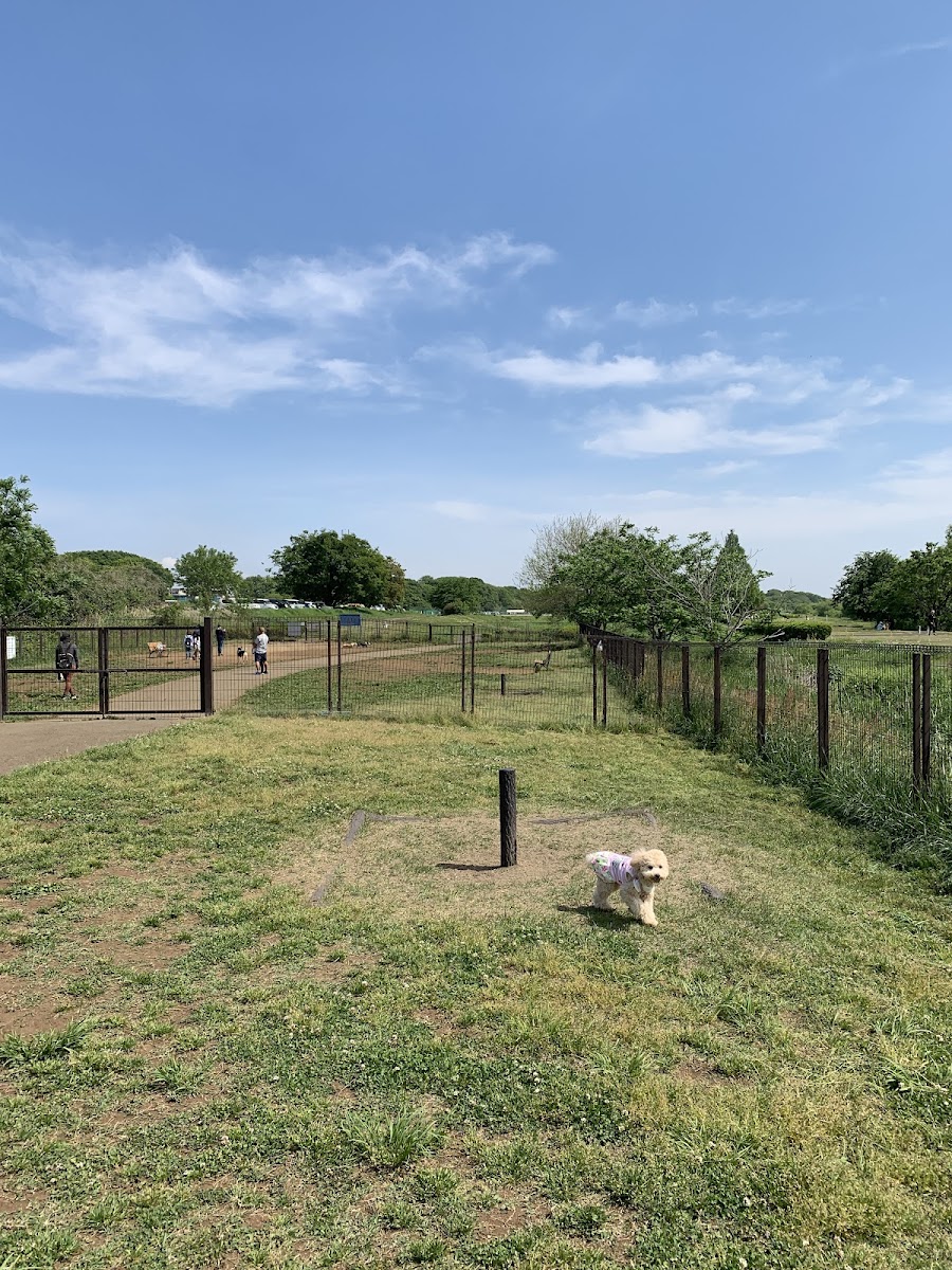 安比奈親水公園ドッグランの写真