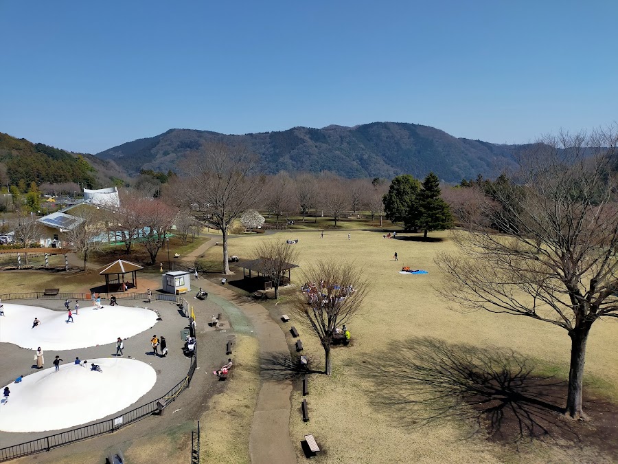 神奈川県立あいかわ公園の写真