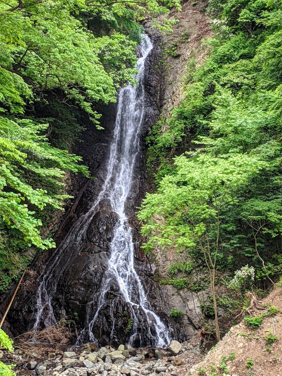 神奈川県立あいかわ公園の写真