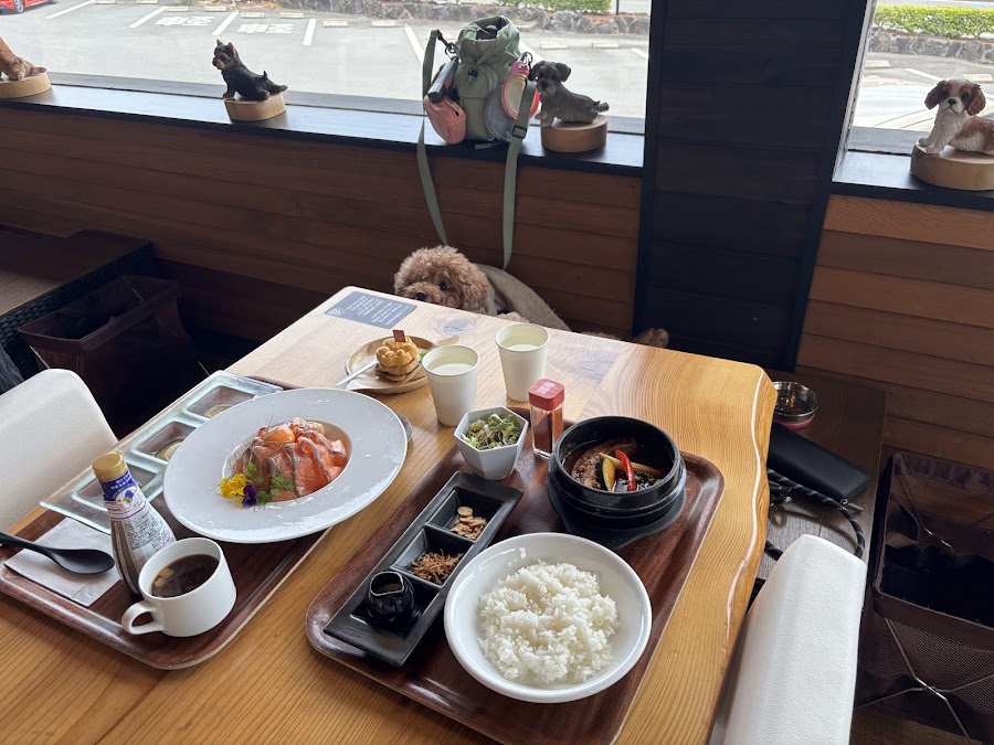ドッグ＆カフェ 愛犬の駅 伊豆高原の写真