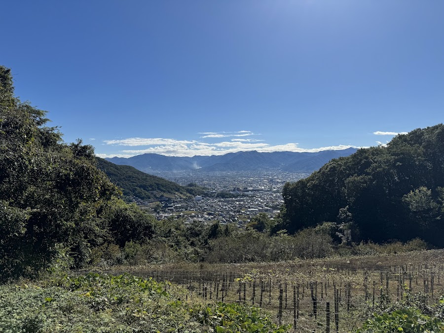 山梨県立 愛宕山こどもの国の写真