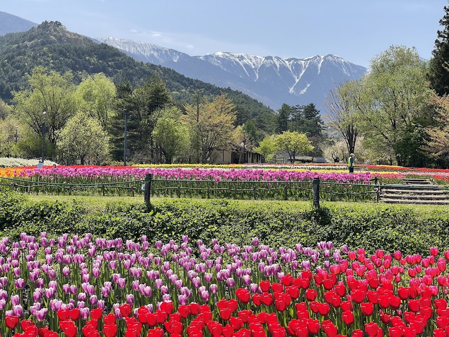 季節の花が咲く公園