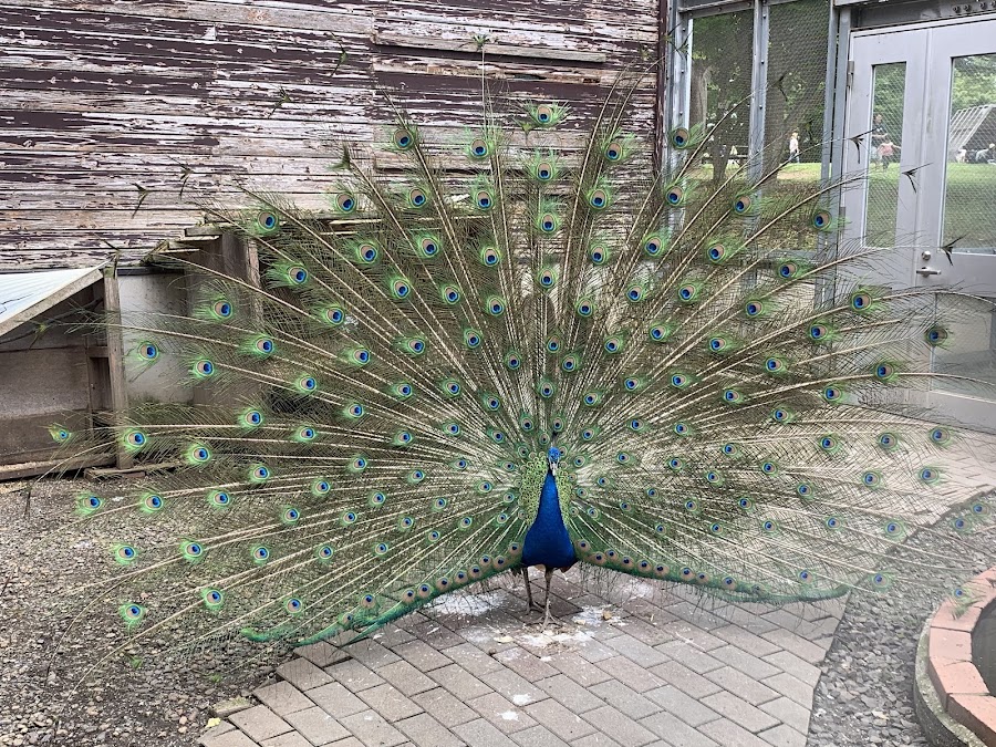 ぼうさいの丘公園の写真