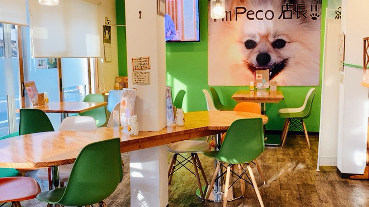 Cafe Pecoの写真