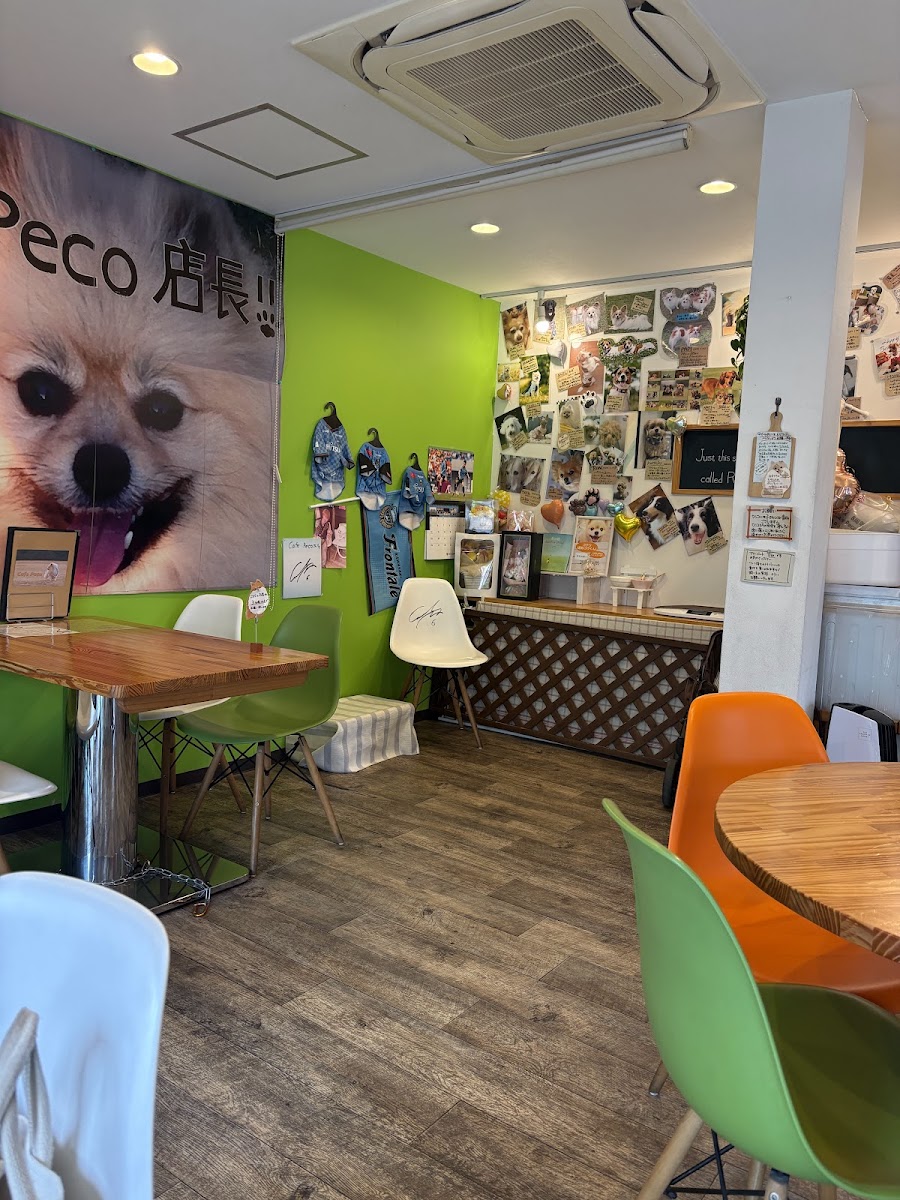 Cafe Pecoの写真