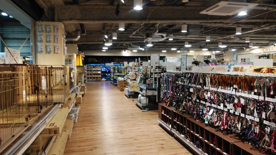 カインズ 昭島店の写真