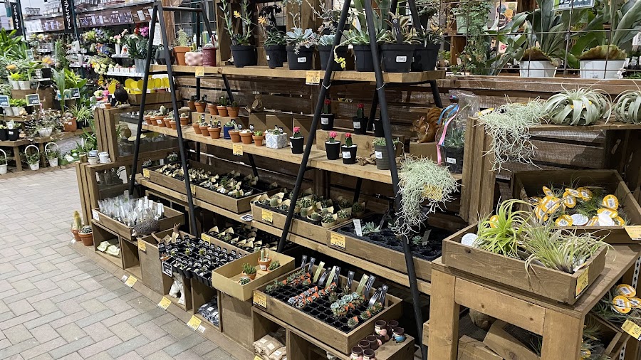 カインズ 梓川店の写真