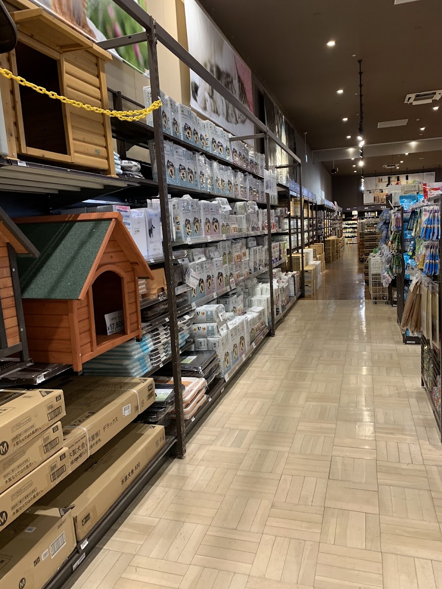 カインズ 市原店の写真