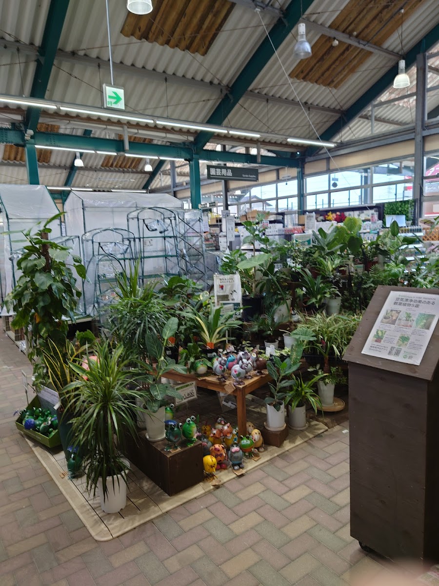 カインズ 磐田店の写真