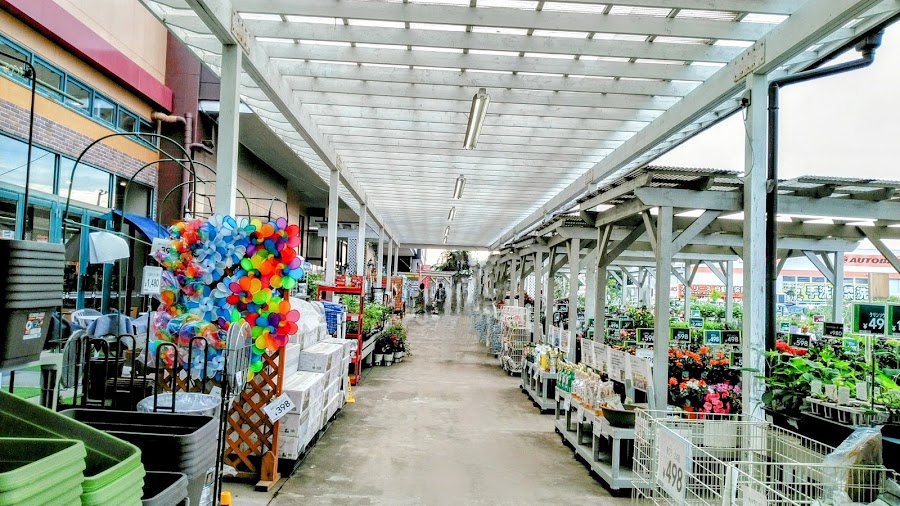 カインズ 沼津店の写真