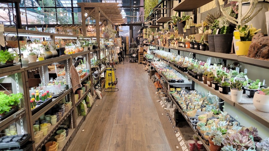 カインズ 鶴ヶ島店の写真