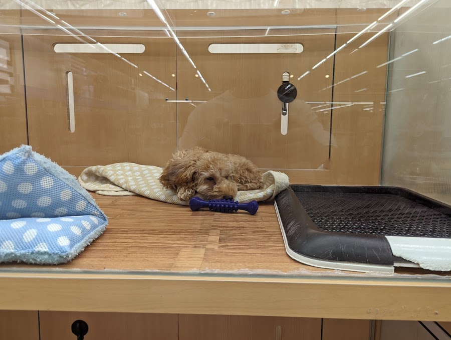 カインズ 上田店の写真