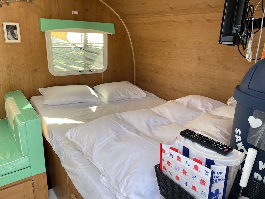 DOG DEPT GARDEN CAMP 安房白浜の写真