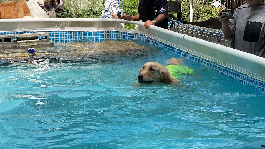 犬と泊まれる貸別荘 ミリーズ・ラブの写真