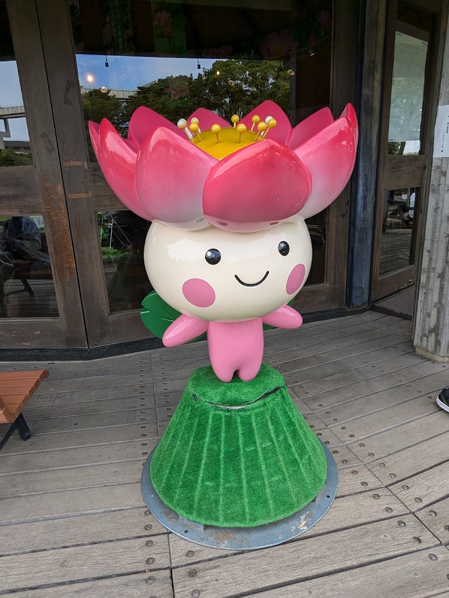千葉公園の写真