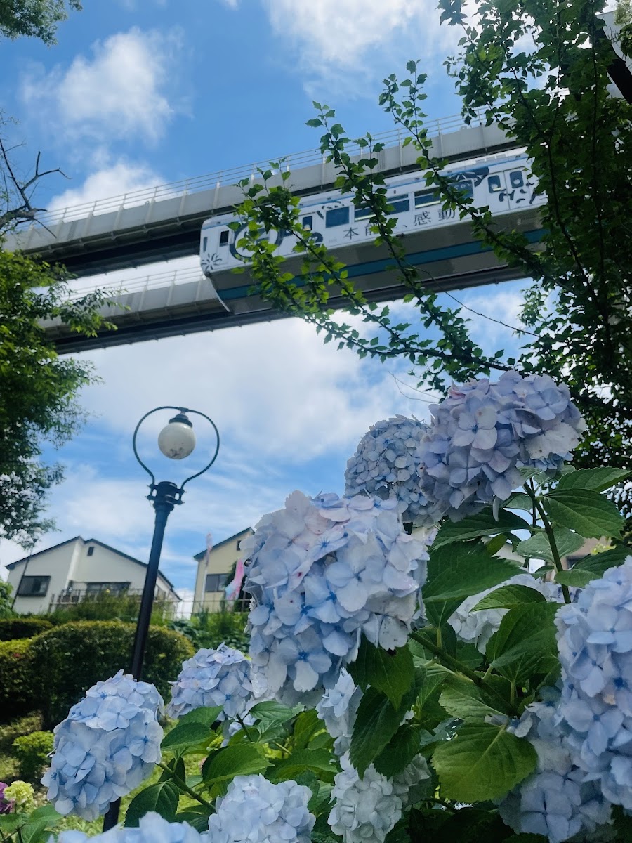 千葉公園の写真