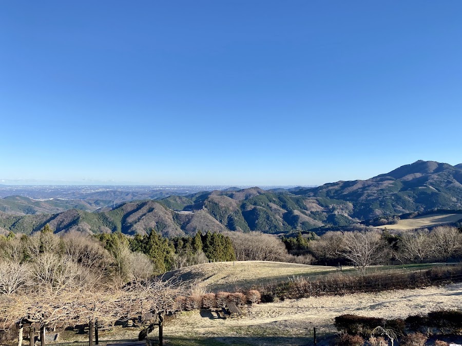 秩父高原牧場（彩の国ふれあい牧場）の写真