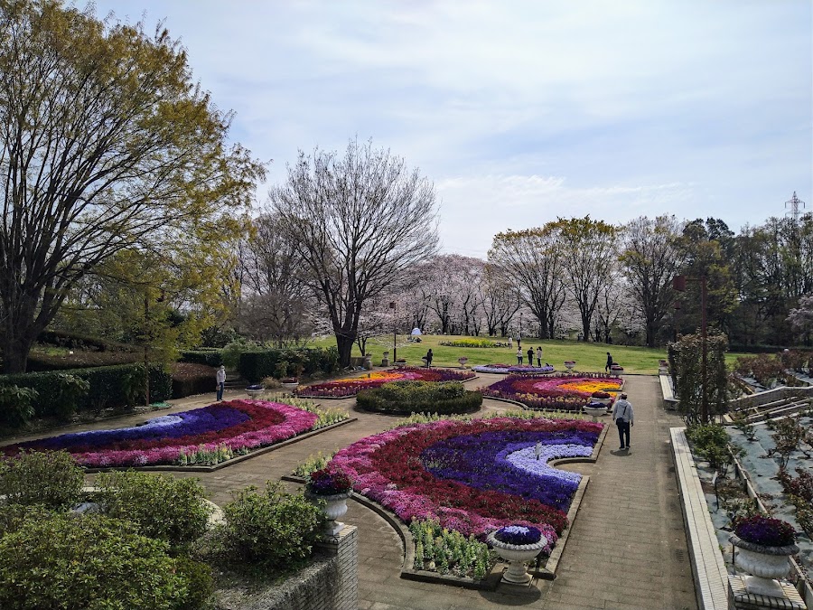 智光山公園の写真