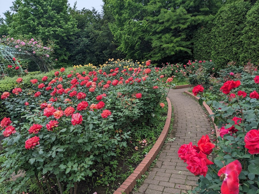 智光山公園の写真
