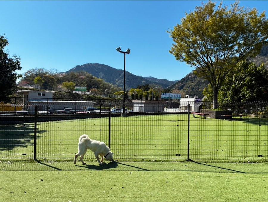 ドッグラン 談合坂SA（下り）の写真