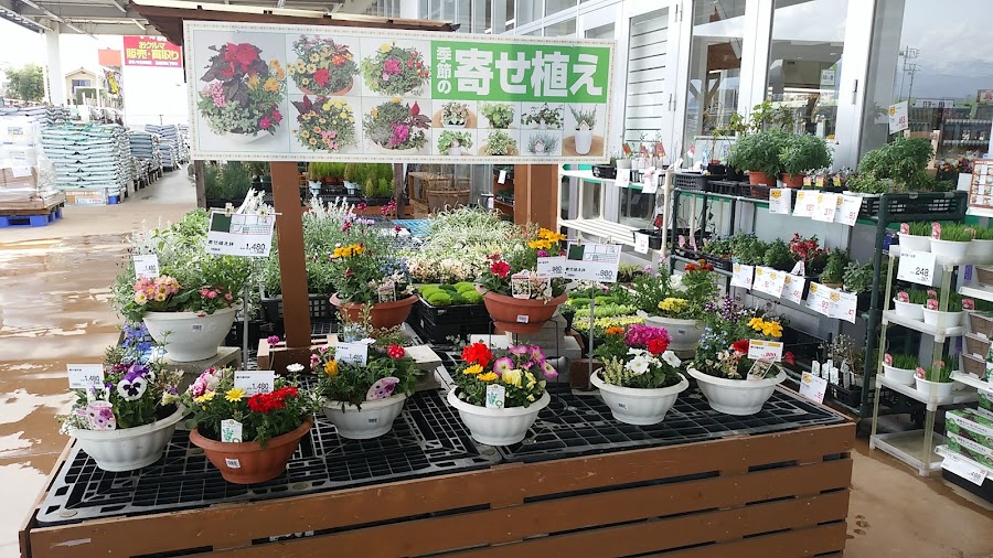 DCM一宮店の写真