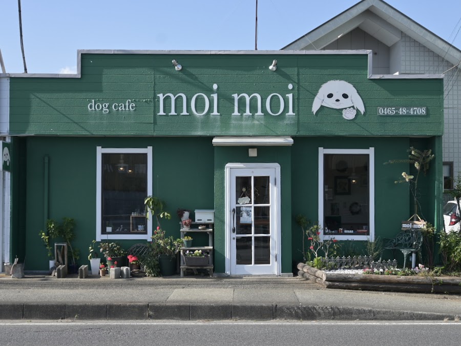 dog cafe moi moiの写真