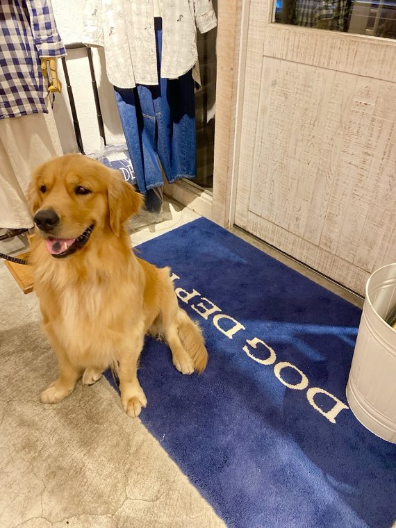 DOG DEPT+CAFE お台場東京ビーチ店の写真