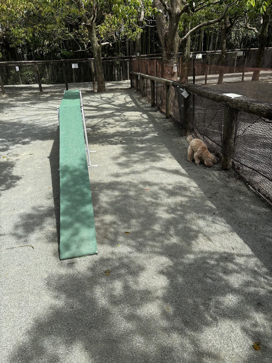 ドッグフォレスト湘南 木村植物園の写真