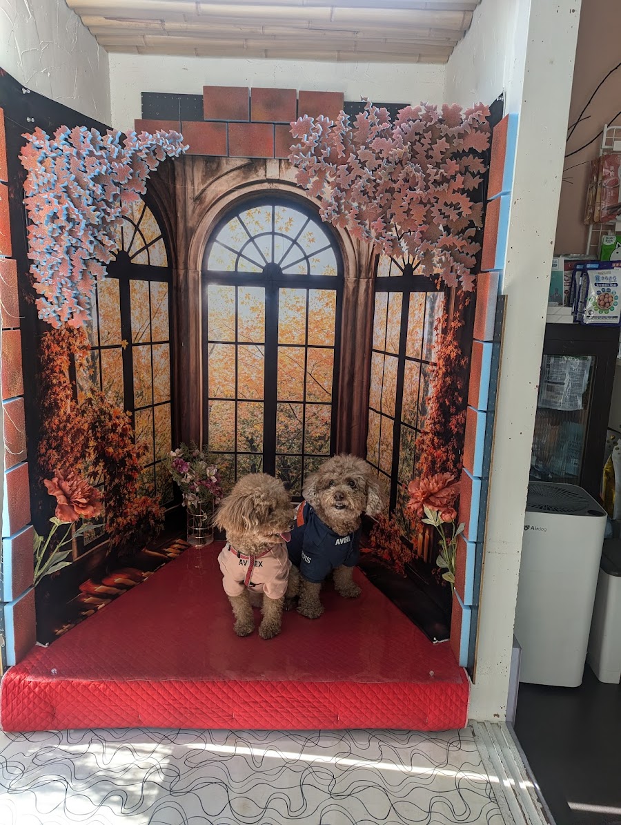 ドッグカフェ シュロッセの写真