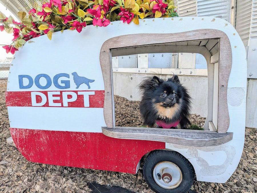 DOG DEPT GARDEN 木更津店の写真