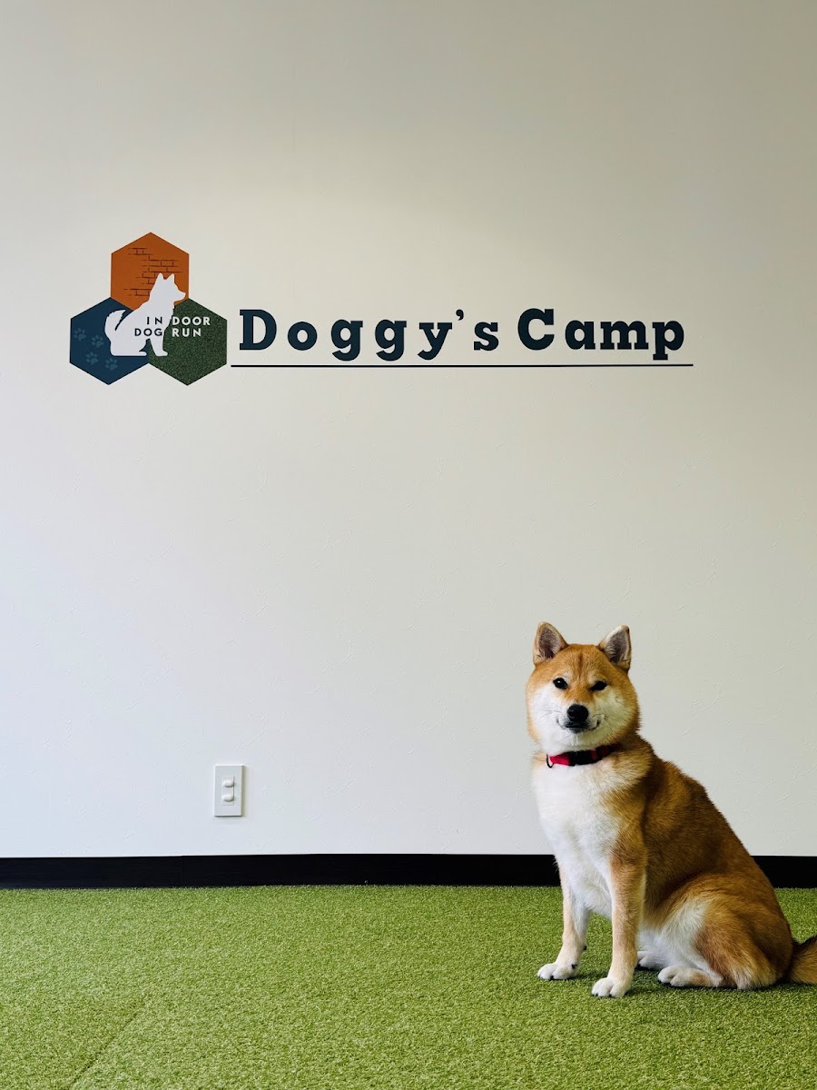 Doggy's Camp（ドギーズキャンプ）室内ドッグランの写真