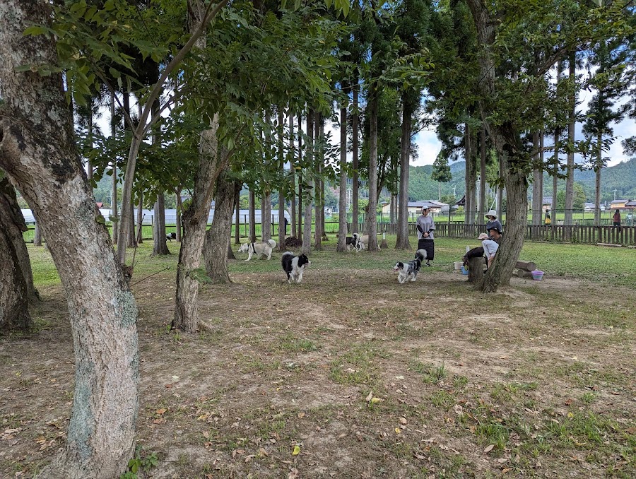 DOG PARK 山国の写真