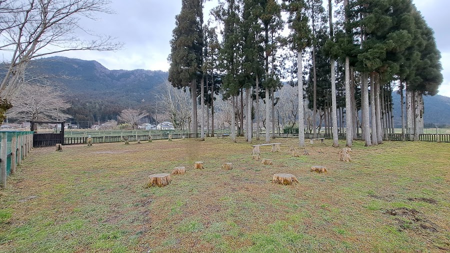 DOG PARK 山国の写真