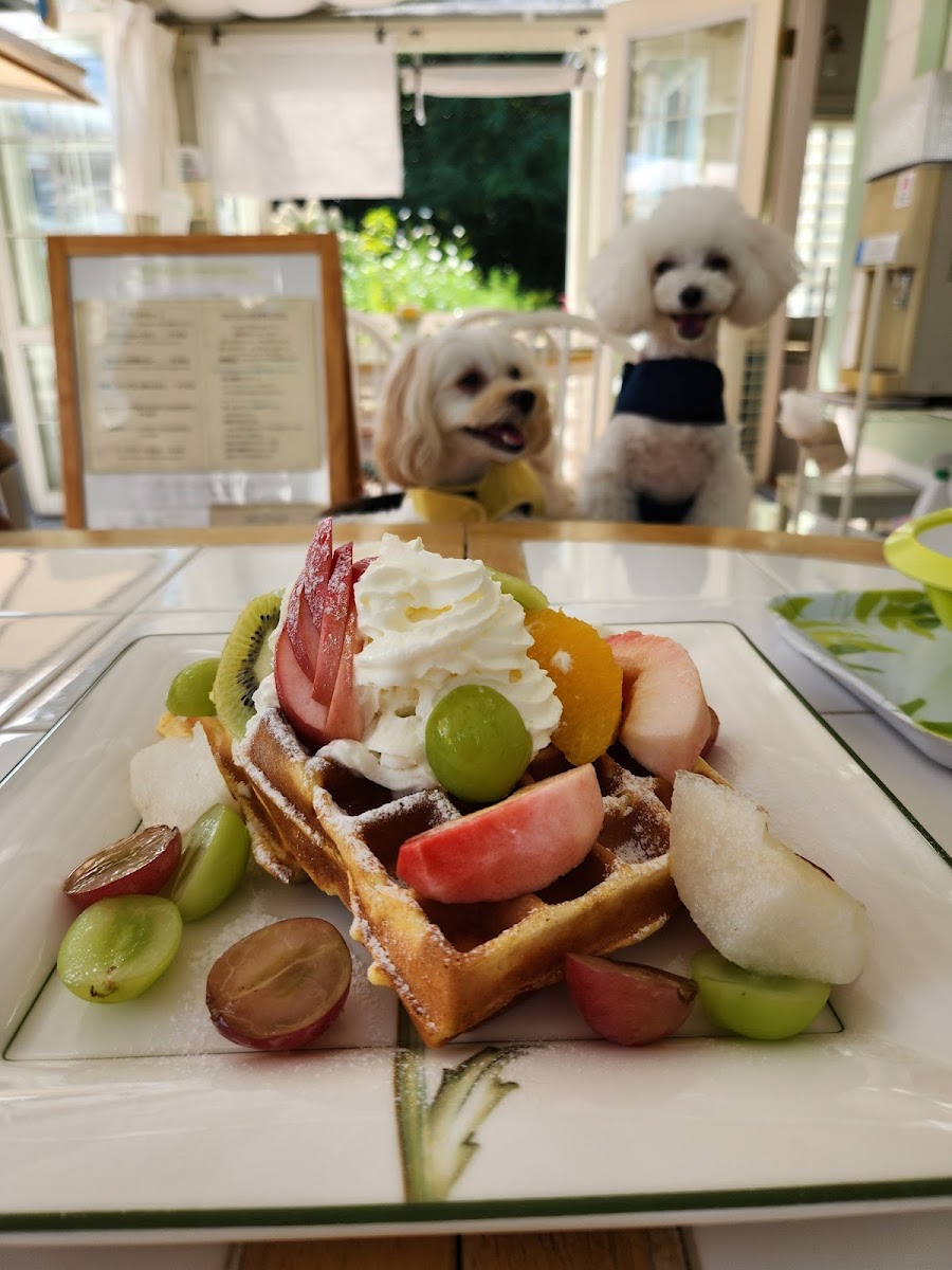 Dog Run Café フルールの写真