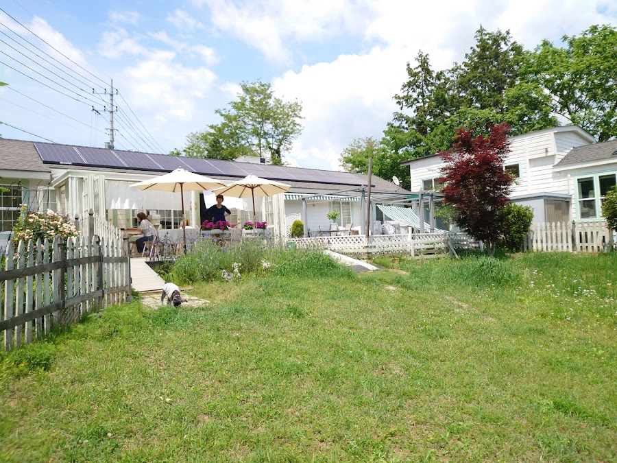 Dog Run Café フルールの写真