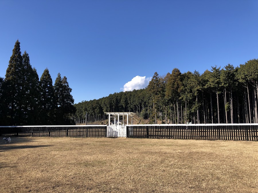 ドッグラン石原の写真