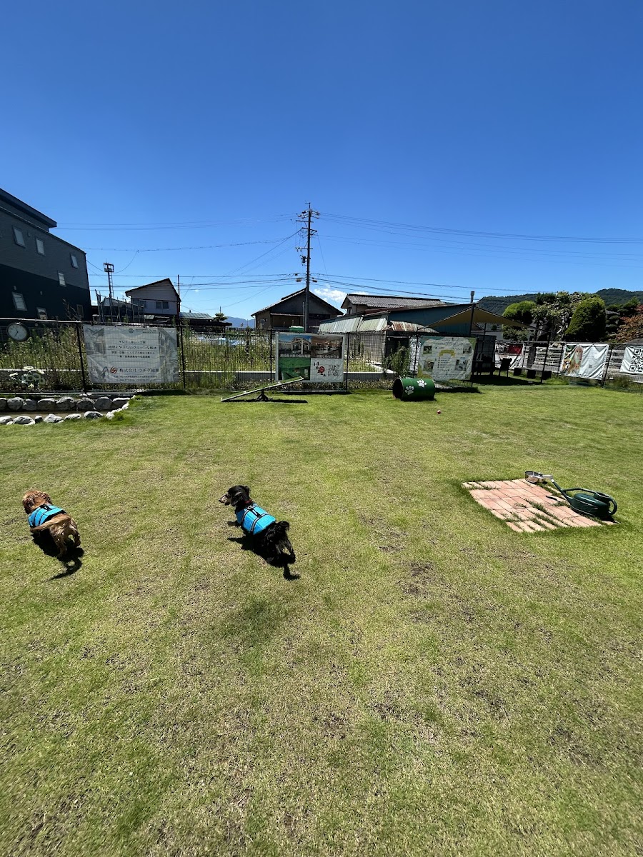 ドッグラン長野プライベートパークの写真
