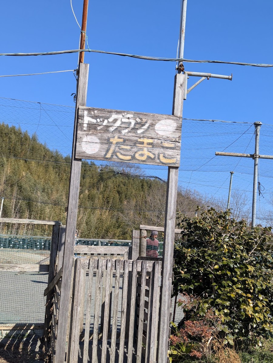 ドッグランたまごの写真