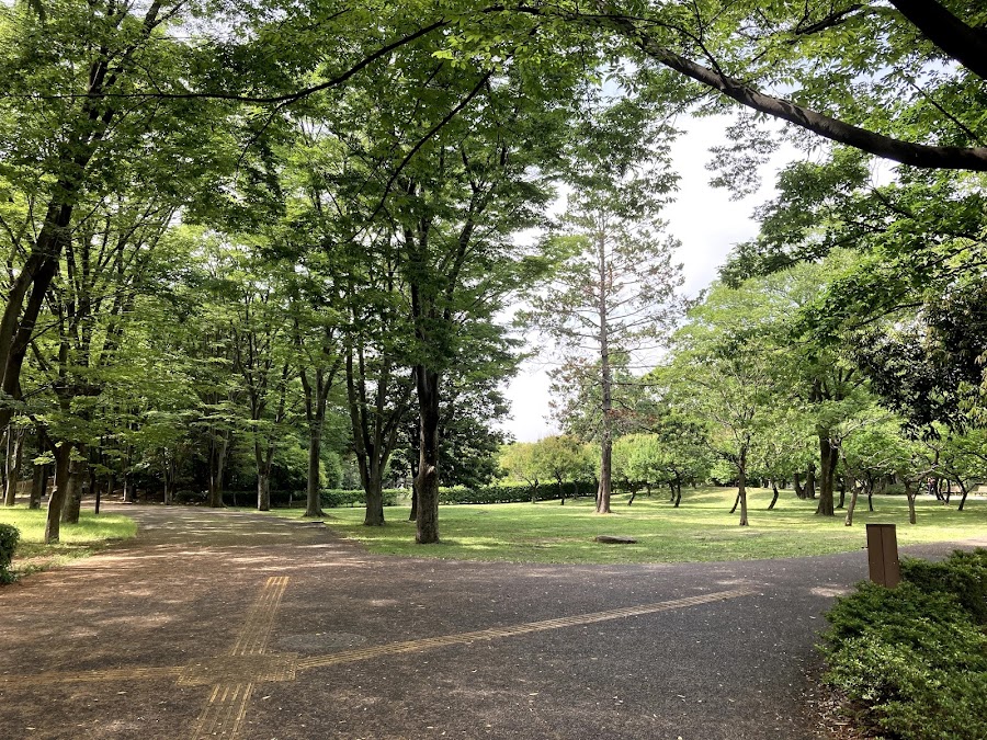 府中の森公園の写真