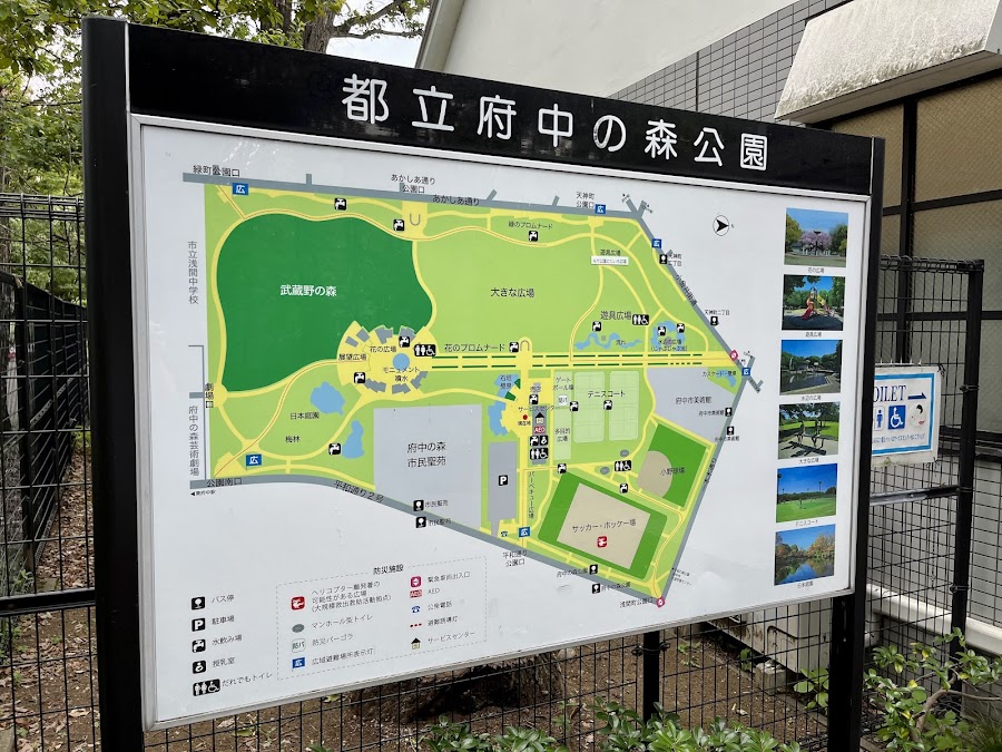 府中の森公園の写真