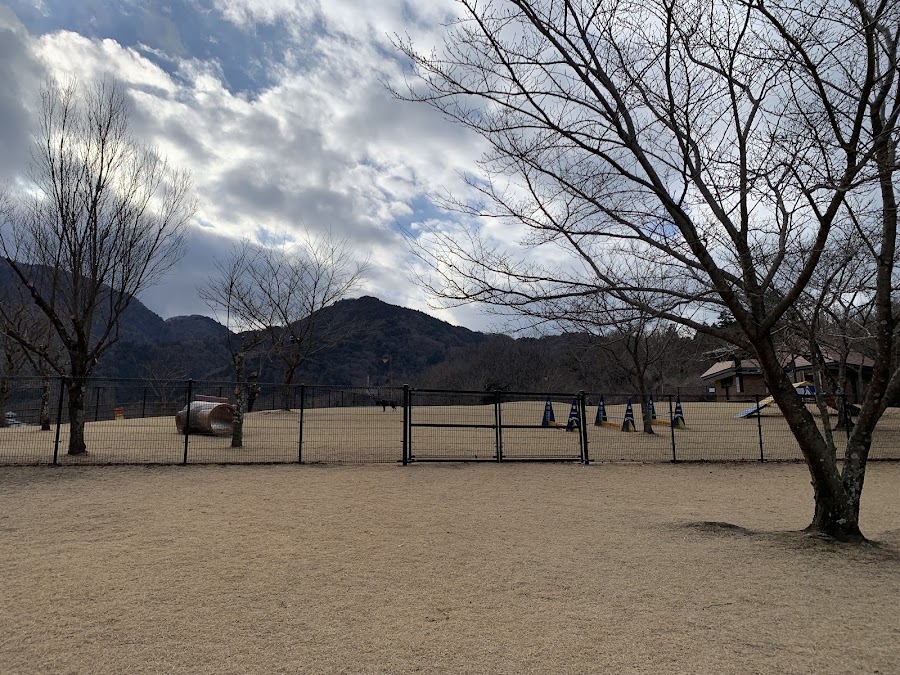 富士川クラフトパーク ドッグラン（クラフト山）の写真