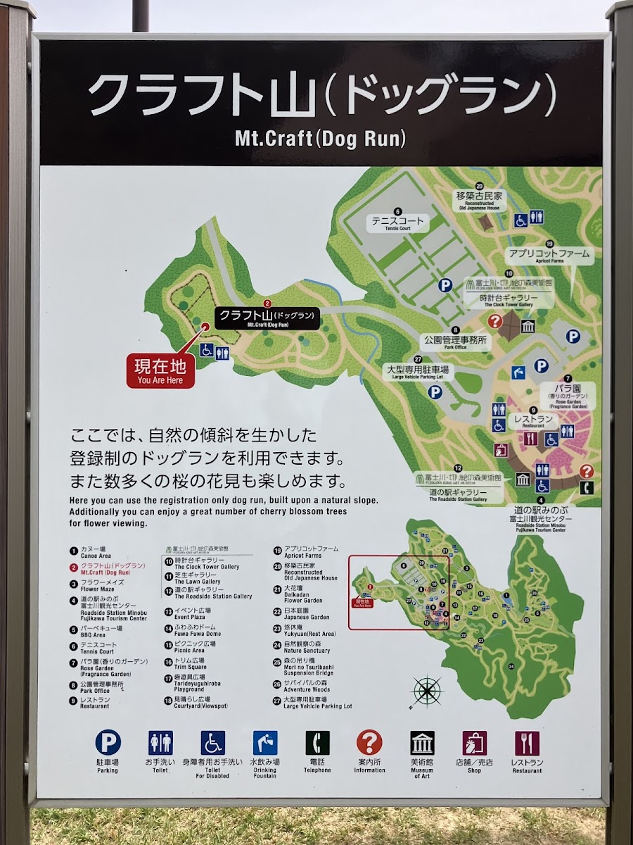 富士川クラフトパーク ドッグラン（クラフト山）の写真