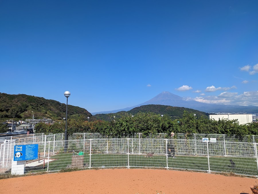ドッグラン 富士川 EXPASA富士川（上り）の写真