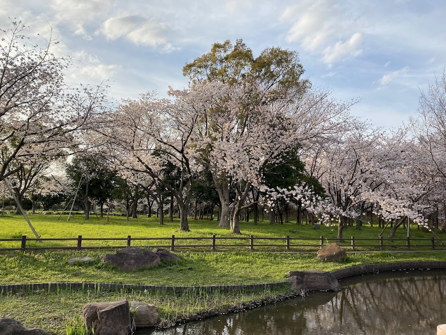 深北緑地の写真