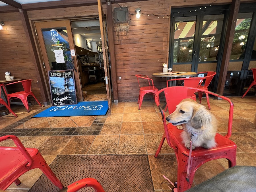 FUNGO 三宿本店の写真