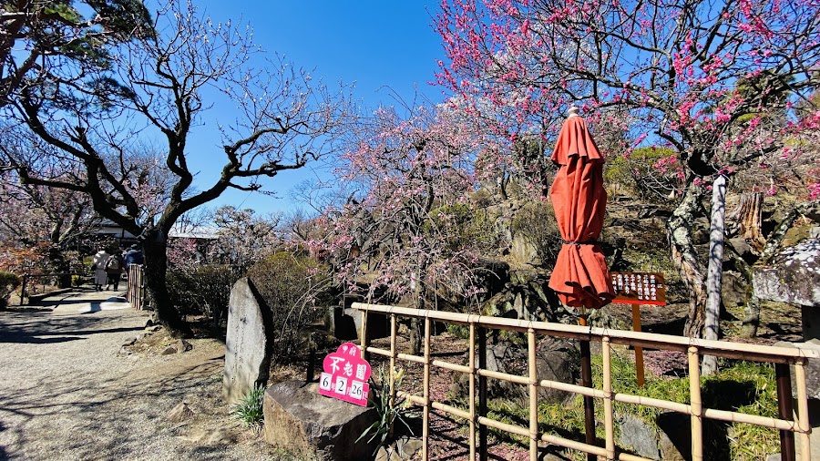 不老園の写真